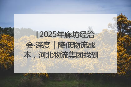 2025年廊坊经洽会·深度｜降低物流成本，河北物流集团找到一把“金钥匙”