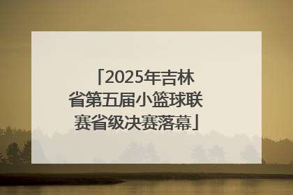2025年吉林省第五届小篮球联赛省级决赛落幕
