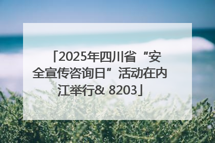 2025年四川省“安全宣传咨询日”活动在内江举行& 8203