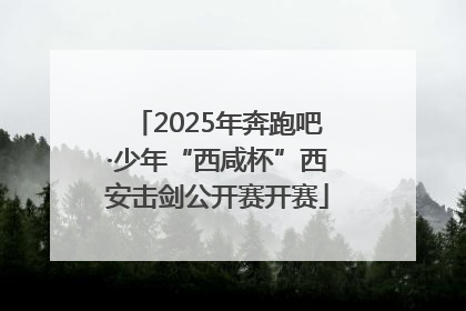 2025年奔跑吧·少年“西咸杯”西安击剑公开赛开赛