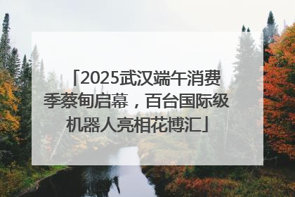 2025武汉端午消费季蔡甸启幕，百台国际级机器人亮相花博汇