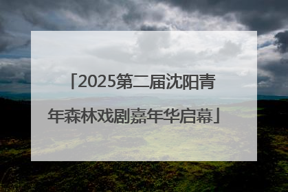 2025第二届沈阳青年森林戏剧嘉年华启幕