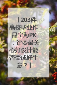 203件高校毕业作品宁海PK：评委最关心好设计能否变成好生意？