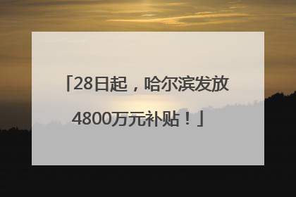 28日起，哈尔滨发放4800万元补贴！