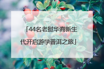 44名老挝华裔新生代开启游学普洱之旅