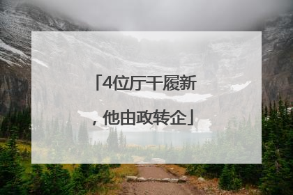 4位厅干履新，他由政转企