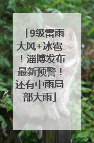 9级雷雨大风+冰雹！淄博发布最新预警！还有中雨局部大雨