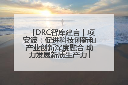 DRC智库建言丨项安波：促进科技创新和产业创新深度融合 助力发展新质生产力