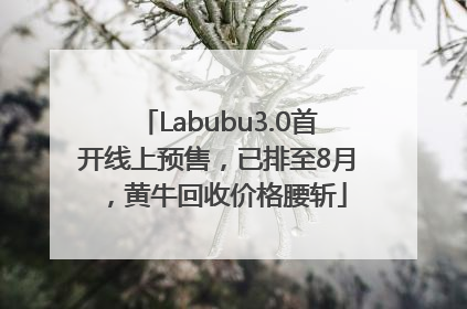 Labubu3.0首开线上预售，已排至8月，黄牛回收价格腰斩